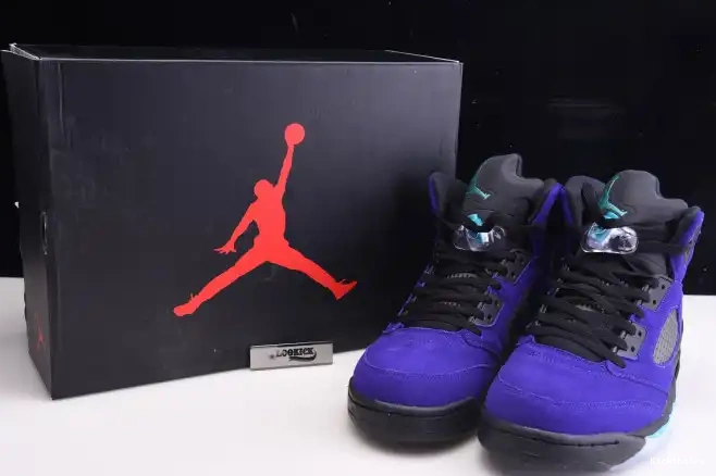 Kicktheory Jordan Grape Retro Alternate Air 136027-500 5 0531